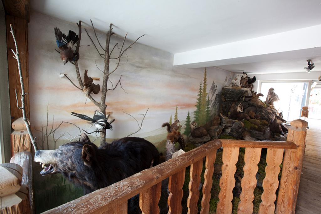 Hotel Astras Скуоль Экстерьер фото